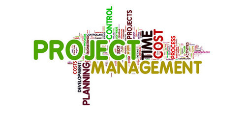 Project Consultancy